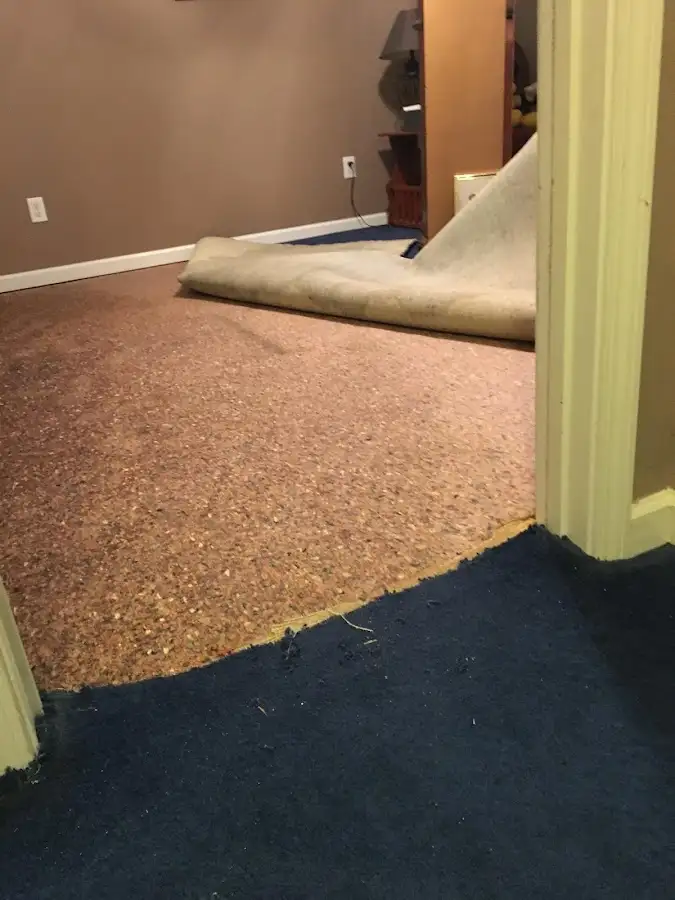 Carpet pad removal revealing water damage during Drying & Dehumidification in Mattoon